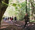 25ste Herfstwandeling van Armand en Judith op 23-10-2011 (20)